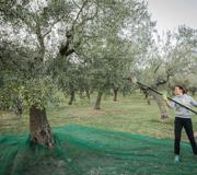 AZIENDA AGRICOLA ANIBALDI CINZIA