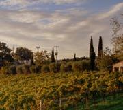 AZIENDA AGRICOLA FRATELLI CAPINERA