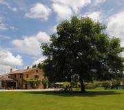 PODERE DEL FAGIANO
