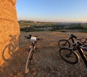 BIKE HELLO