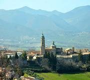 Apiro