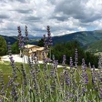 AGRITURISMO FONTE ROSA