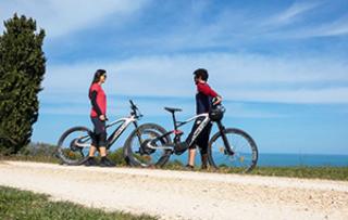 FREERIDE