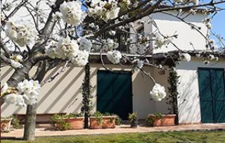 SILOS TORRENOVA Bed and Breakfast