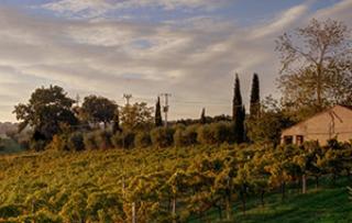 F.LLI CAPINERA WINERY