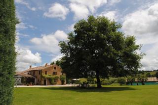 PODERE DEL FAGIANO