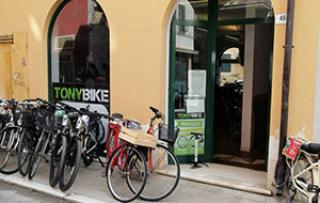 TONY BIKE