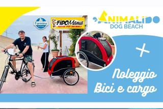 ANIMALIDO