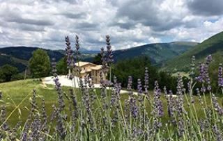AGRITURISMO FONTE ROSA