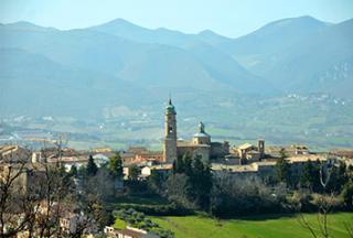 Apiro